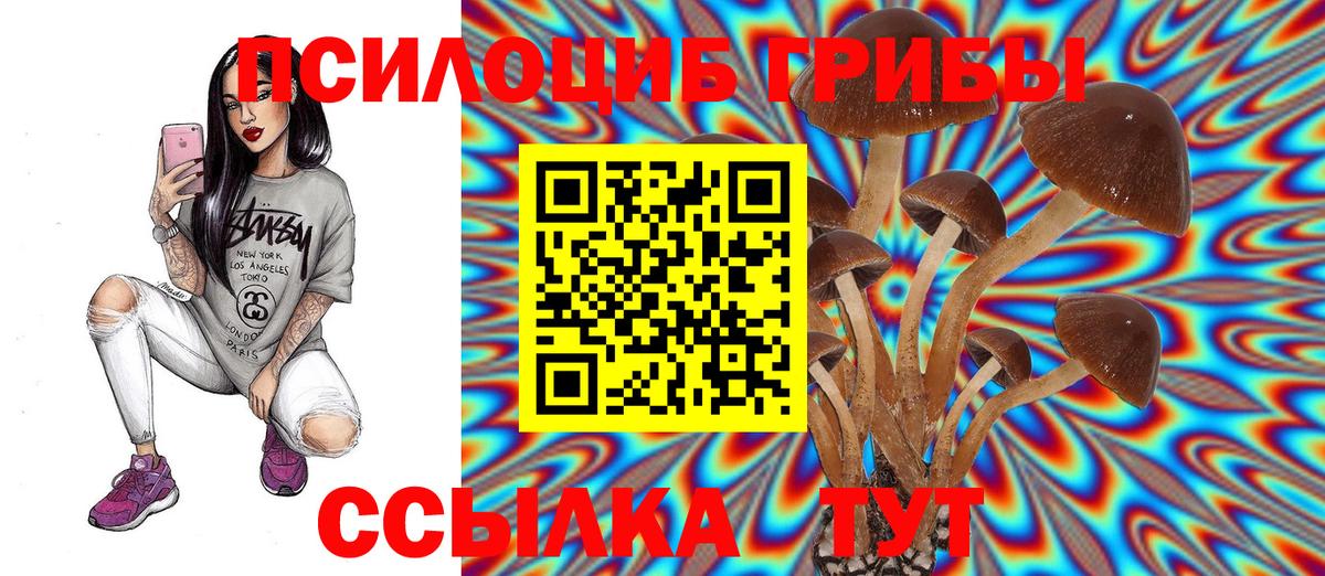Псилоцибиновые грибы Psilocybe Артёмовский