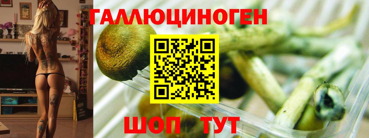 закладка  Псилоцибиновые грибы GOLDEN TEACHER  Вход с VPN  Артёмовский 
